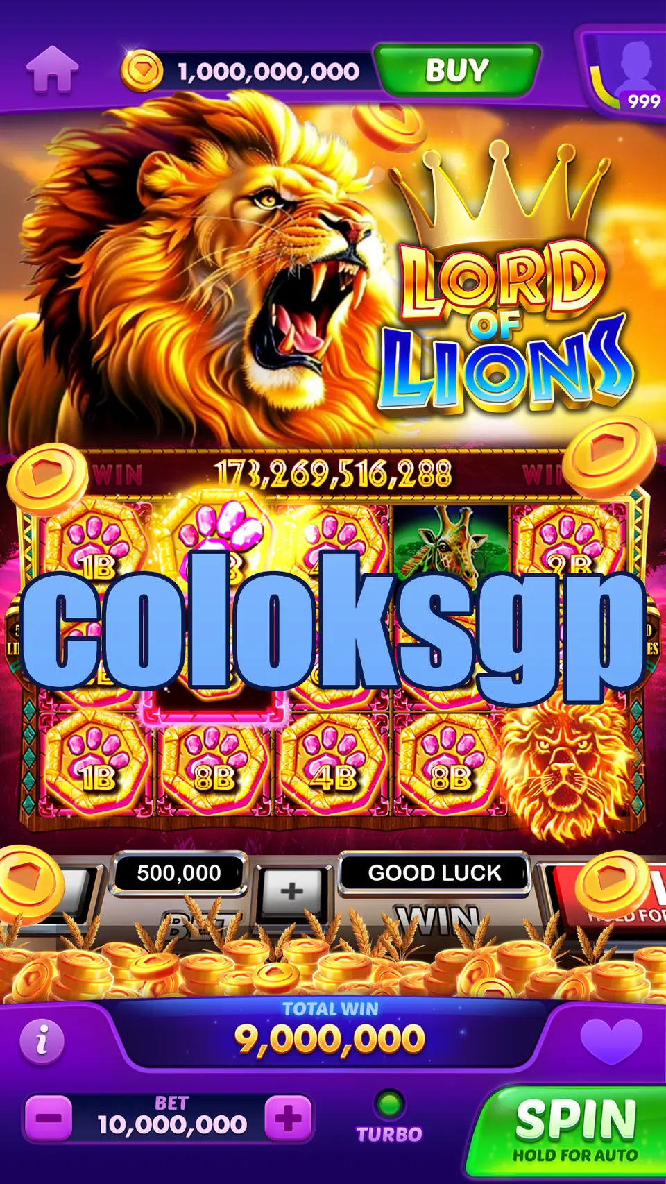 coloksgp Masuk